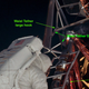 Image for article titled Secret stash of Moon artifacts found hidden in Neil Armstrong's closet